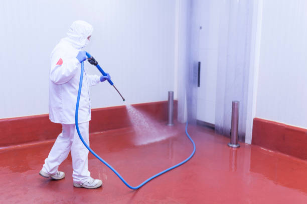 Best Pre-Holiday Cleaning  in Arcola, VA