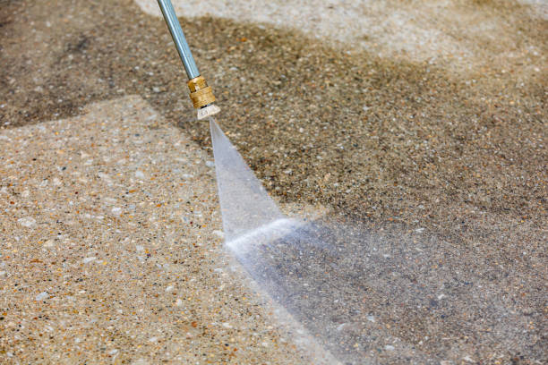Best Roof Washing  in Arcola, VA